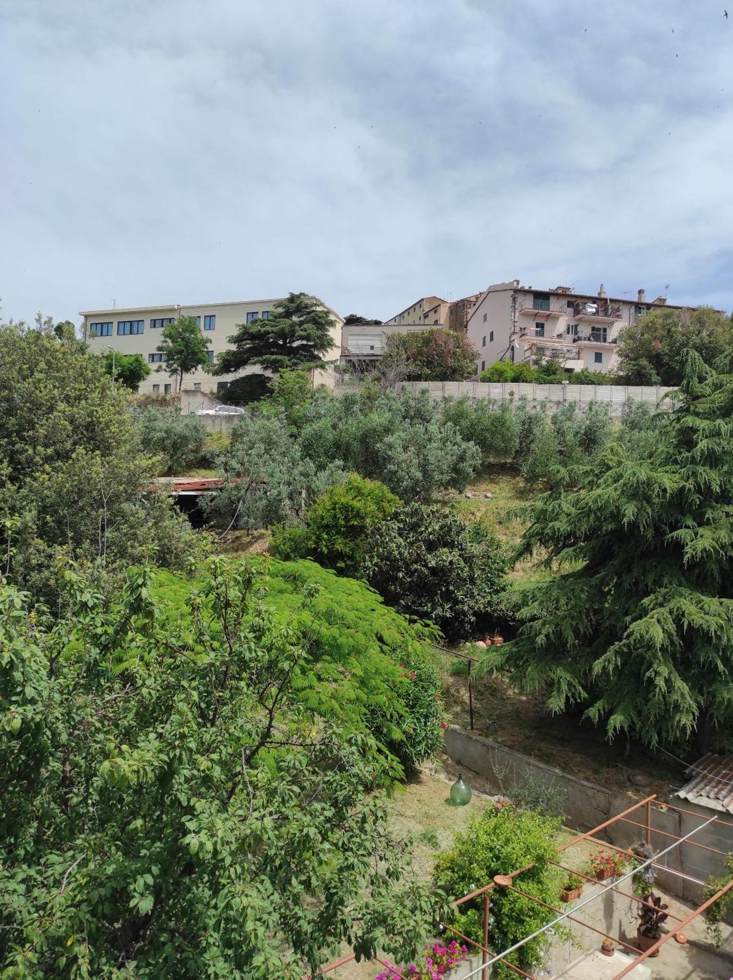 דירות קמפיליה מריטימה Casa Dei Nonni 57021 מראה חיצוני תמונה